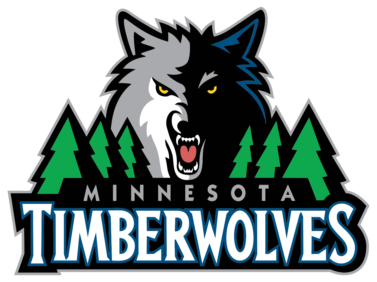 timberwolves lynx launch inaugural black history month essay timberwolves lynx launch inaugural black history month essay contest for students