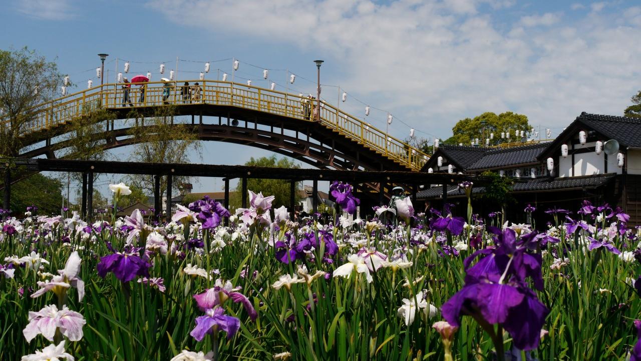 Ibaraki City, Japan