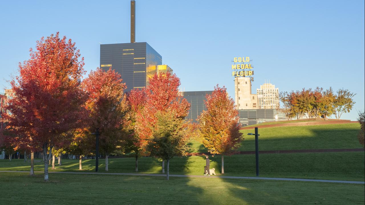 Minneapolis fall 10262012 0001 View Photo Gallery