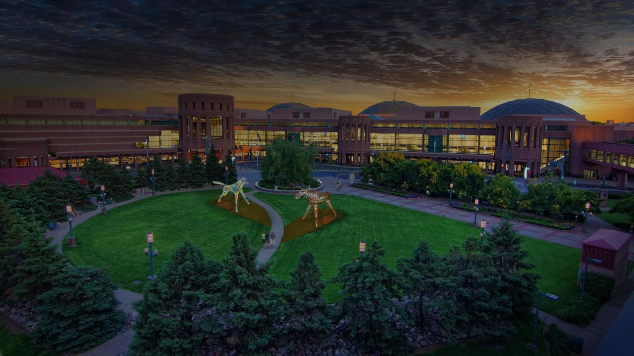 11. plaza rendering