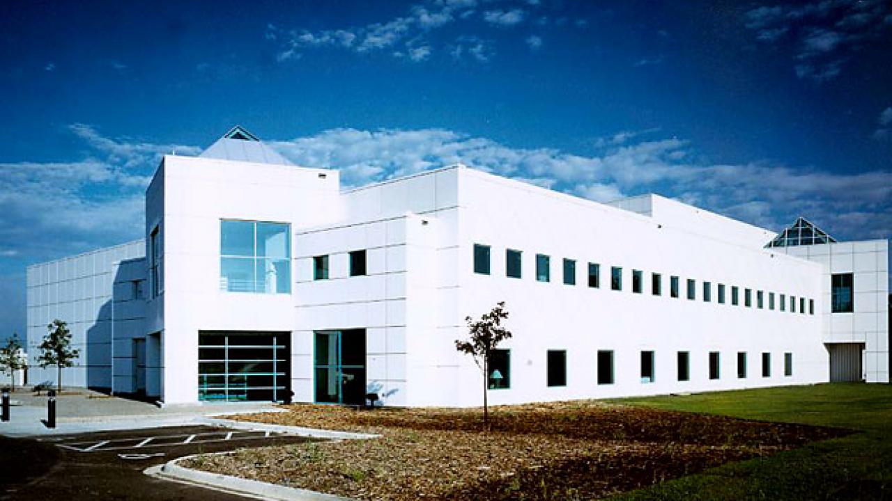 Paisley park boto.com-2